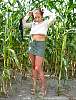 cornfieldfishnets18.jpg